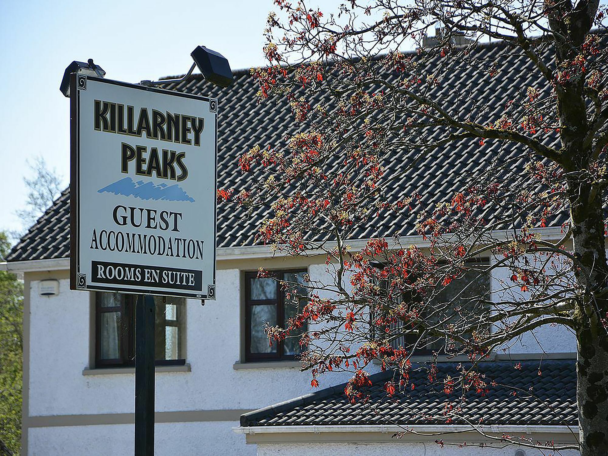 Killarney Peaks Guesthouse Exteriér fotografie